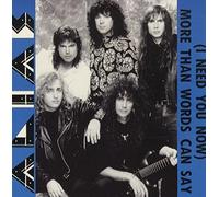 More Than Words Can What I Want to Say [Import]