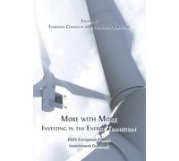 More with More: Investing in the Energy Transition