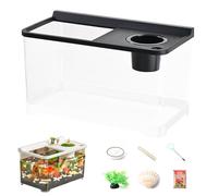 Moreeulsi Petit Aquarium Betta à 3 lumières colorées | Aquarium décoratif | à 360° Haute Transparence pour Salon, Table, entrée, Maison, aménagement paysager, Lieu de Travail