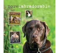 Morelabradorable: Follow the adventures of Barnaby the labrador and his friends - [Version Originale] Villager Jim (Auteur)