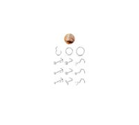 Morfetto 12Pcs Piercing Nez Or Argent Acier Chirurgical pour Femmes Hommes Or Nez Piercing Septum Acier Chirurgical Labret Vertical Levre Kit Bijoux Argent - Zircon carré