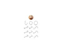 Morfetto 12Pcs Piercing Nez Or Argent Acier Chirurgical pour Femmes Hommes Or Nez Piercing Septum Acier Chirurgical Labret Vertical Levre Kit Bijoux Argent - Étoile