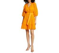 MORGAN Femme Robe Courte en Broderie Anglaise Manches Longues col en V 241-RFLAM/MANGUE/38