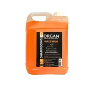Morgan Shampoing à l'huile d'Argan Volume 5 L pour Chien
