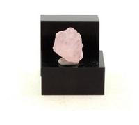 MORGANITE - Pierre Naturelle en Provenance d'Afrique 5.20 ct - Certificat d'Authenticité Inclus 12 x 10 x 8 mm G