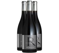 Morgon - Rouge 2022 - Domaine Rivière - Vin Rouge du Beaujolais (3x75cl) HVE