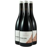 Morgon Terrain Rouge - Rouge 2020 - Domaine Famille Morin - Vin Rouge du Beaujolais (3x75cl)