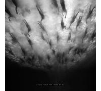 Morild – Disse Fugle Far Ingen at Se – CD – Broken Silence