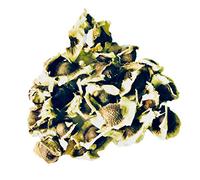 Moringa -Moringa oleifera- Lot de 25 graines de méridienne