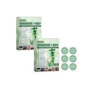 Moringa NAD+ 10 en 1 Advanced Nano, Moringa Berberine Patches, Microneedle Patch, Patch minceur Berberine pour hommes et femmes Activités quotidiennes légères, une boîte contient six patchs.