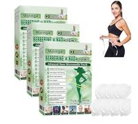 Moringa Patchs Minceurs 10 en 1,Patch Nano Microneedle Minceur,Maigrir et Raffermissement Cutané,pour Homme et Femme,Patch Corporel Quotidien Ultra Fin et Invisible pour Homme et Femme (3 boîtes)