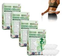 Moringa Patchs Minceurs 10 en 1,Patch Nano Microneedle Minceur,Maigrir et Raffermissement Cutané,pour Homme et Femme,Patch Corporel Quotidien Ultra Fin et Invisible pour Homme et Femme (4 boîtes)