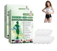 Moringa x Berberin Lot de 14 pansements à micro-aiguilles 10 en 1 pour brûler les graisses, métaéquilibre naturel pour hommes et femmes, pour tous les types de corps