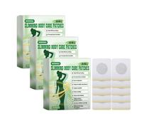 Moringa x Berberine Patch 10 en 1, Patch Nano Microneedle Minceur, Ingrédients Naturels, Facile à Appliquer, Invisible Sous les Vêtements, Idéal pour Homme et Femme