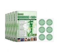 Moringa x Berberine Patch, Nano Microneedle Slimming Patch, Soft & Effective, Invisible Under Clothes, for Men & Women，Natural Ingredients, Easy to Apply