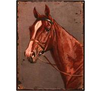 Moritz Deko Plaque en tôle Cheval Tête de cheval Plaque métallique Design rétro vintage pour la décoration Décoration murale