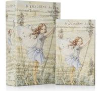 Moritz Lot de 2 faux coffres-forts pour livres Deko Ange Papillon Fille Livre Safe Box Coffre-fort Pochette à livres Cache-argent