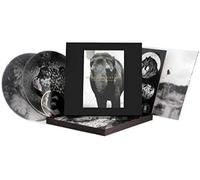 Moriyama Zoo No. 1: Tribute To Daido Moriyama