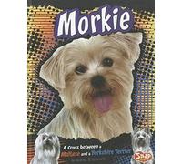 Morkie: A Cross Between A Maltese And A Yorkshire Terrier