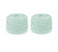 Morkite 2 Pièces Fil pour Crochet 285g 100m Tshirt Yarn Fil Polyester pour Sac au Crochet, Coton Crochet Fil à Tricoter pour Sac, Panier, Bricolage, Tapis, Couverture