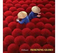 Morning Glory
