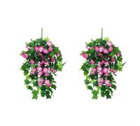 Morning Glory Vine Lot de 2 paniers suspendus en rotin pour intérieur et extérieur dans la maison, le jardin et la configuration d'événements (F)