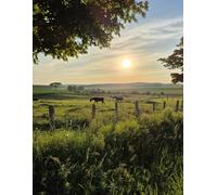 Morning Graze - Sketchbook for Artists: A creative companion from BROH Line Studio’s Scenic Art Edition