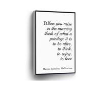 Morning Motivation Quote Canvas Print When You Arise Think of What a Privilege It Is to Be Alive Marcus Aurelius Meditations Wall Art for Home Office School Decor(Framed,08x12inch(20x30cm))