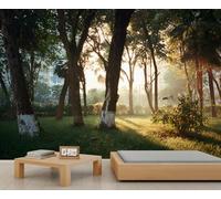 Morning Park Natural Landscape Mural Sunlight Canopy Tree Wallpaper Forest Path Herbe Lawn Wallpaper Murals City Park Green Space Bedroom Office Living Bedroom TV Background Mural 250 x 175 cm