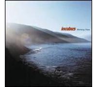 Incubus – Morning View – Vinyle