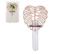 MOROBOR Lot de 1 tube d'eau mural en plastique en forme de monstre - Terrarium - Cadeau idéal pour les amateurs de plantes - Pour le bureau, le jardin