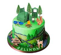 Morofme Lot de 13 décorations de gâteau de camping Fireside Camp Déco Tent Bonfire Canoe Tree Squirrel Deer Figures Camping Cake Decoration for Happy Camper Forest Summer Camping Picnic Hiking