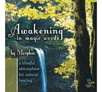 Morpheo - Awakening in the Magic Wo