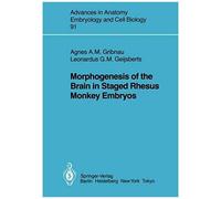 Morphogenesis Of The Brain In Staged Rhesus Monkey Embryos