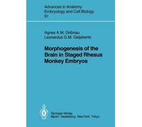 Morphogenesis Of The Brain In Staged Rhesus Monkey Embryos