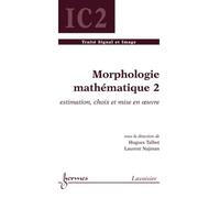 Morphologie mathématique 2 : estimation, choix et mise en oeuvre: Estimation, choix et mise en oeuvre