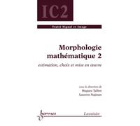 Morphologie mathématique 2 : estimation, choix et mise en oeuvre - Laurent Najman - Hermes Science Publications - broché - Livre