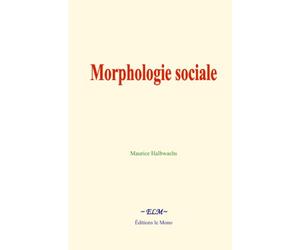 Morphologie sociale