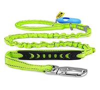 Morpilot Laisse Chien Élastique, Laisse Solide avec Poignée Souple pour Chiens Grands Moyens, Laisse Réfléchissante pour Une Promenade Nocturne en Toute Sécurité avec Chien + Sac Poubelle (Vert)