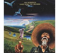 Morrison Van - Hard Nose The Highway