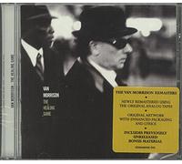 Van Morrison - Healing Game