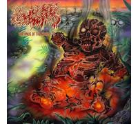 Mortal Wound - The Anus of the World [VINYL]
