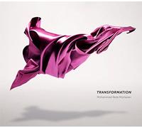 Mortazavi, Mohammad Reza - Transformation