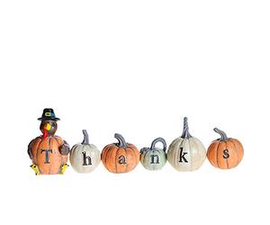 MorTime Thanksgiving Decorations Hand-Painted Turkey Pumpkin with Engraved Thanks, Set of 6 Tabletop Fall Autumn Decor for Living Room Bedroom Kitchen Thanksgiving Harvest Day