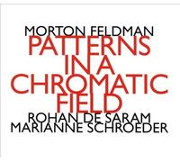 Patterns In A Chromatic Field