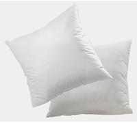 Mortreux Lot de 2 Oreillers 60 x 60 - Moelleux - Microfibre