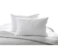 Mortreux Oreillers Lot de 2-50 x 70 cm - 100% Coton - Garnissage 550 g/m²