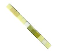 Mosaic 10X10-150 g Ass. White