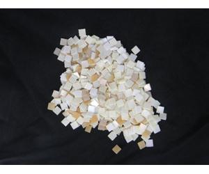 Mosaic 10X10-150 g Coquil. Blanc