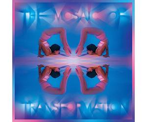 Mosaic of Transformation